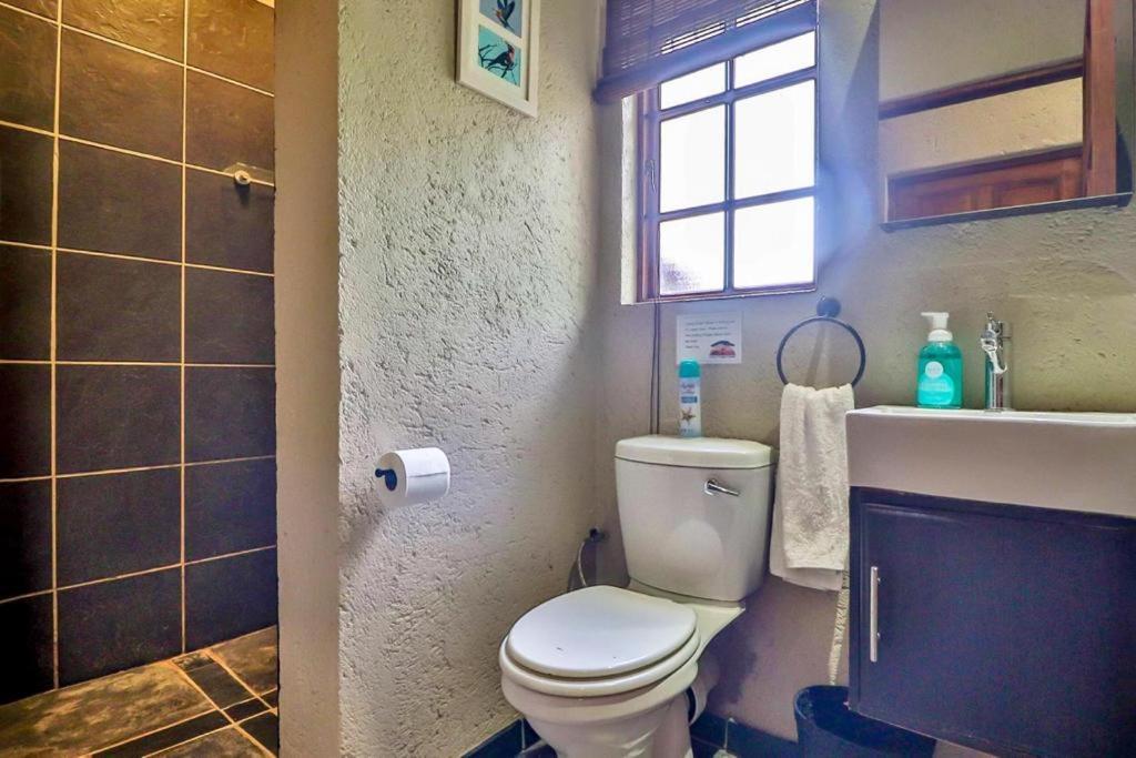 فيلا Luxury Kruger Escape مارلوث بارك المظهر الخارجي الصورة